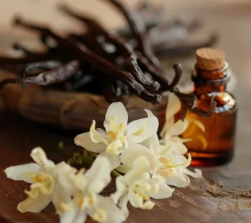 Organic Vanilla Extract Wholesale in TÜRKİYE — MT Royal Quality