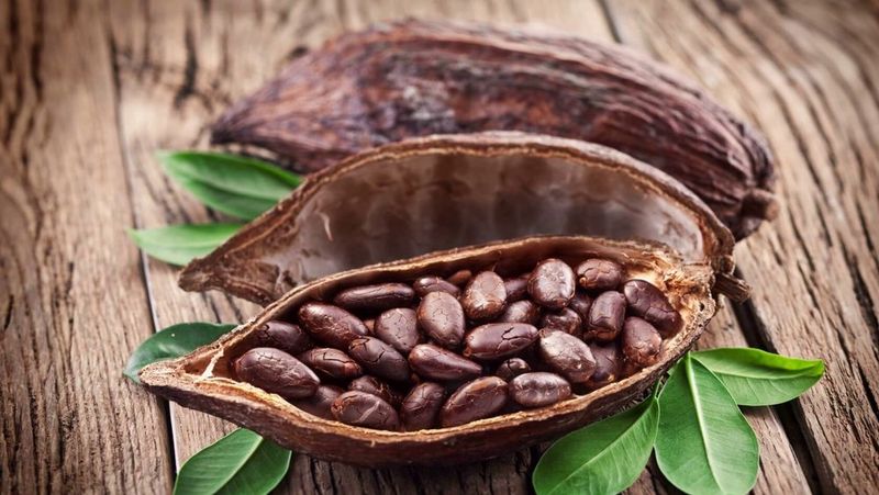 Packaging and storage of cocoa under Palestinian climate