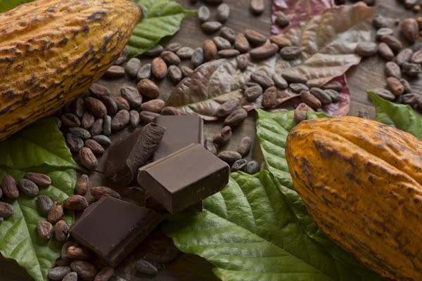 Packaging and storage of cocoa under Palestinian climate