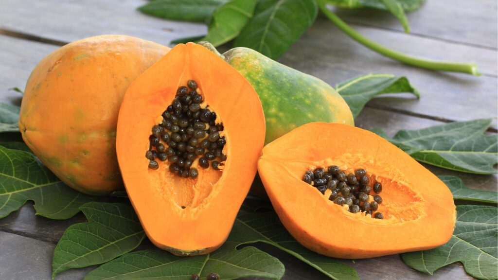 Papain Enzyme from Papaya Supplier