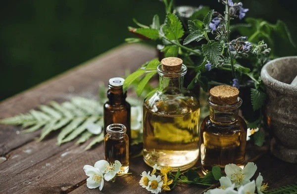 Essential oils for food industry