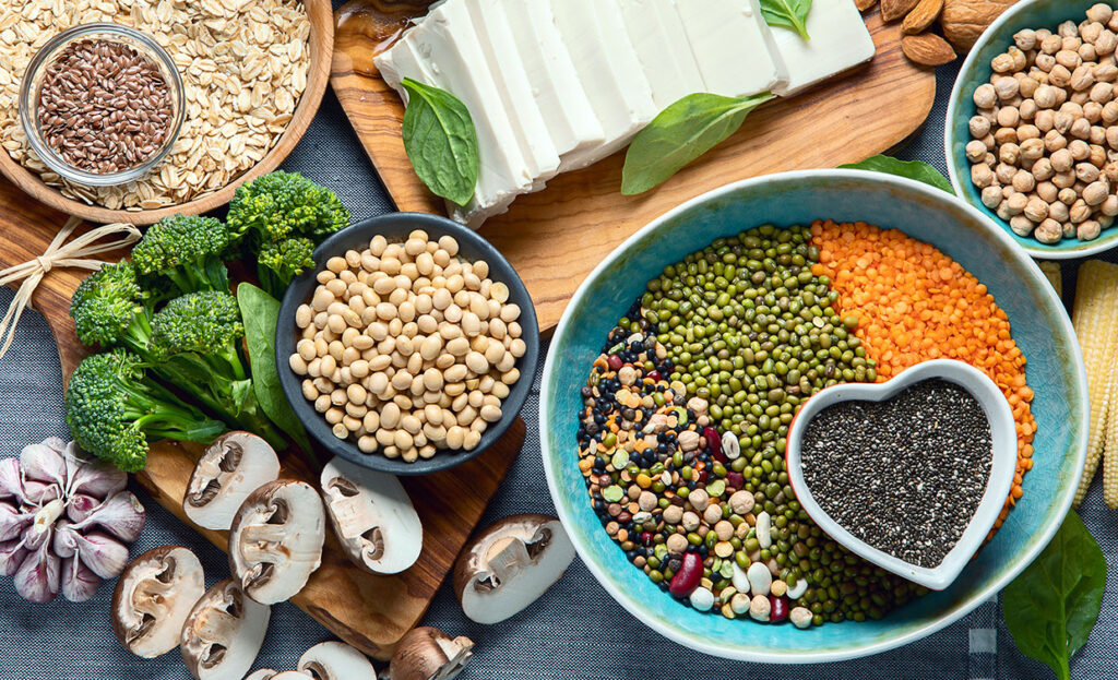Plant-Based Proteins from TÜRKİYE — New Era of Food Innovation