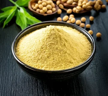 Rapeseed Lecithin Powder Supplier