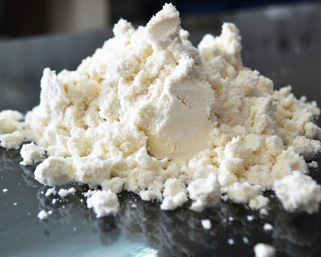 Sodium Caseinate – Dairy Protein Supplier