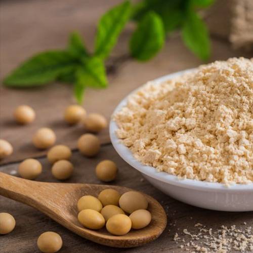 Soy lecithin supplier in Egypt