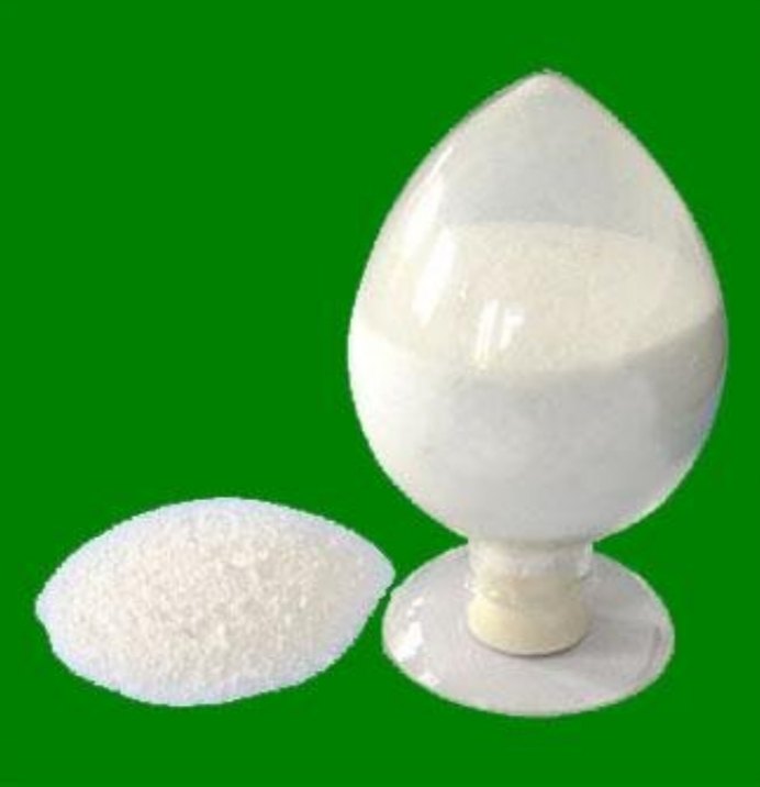 Succinylated Monoglycerides Supplier