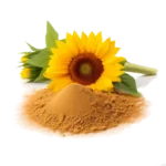 Sunflower Lecithin Bulk Exporter