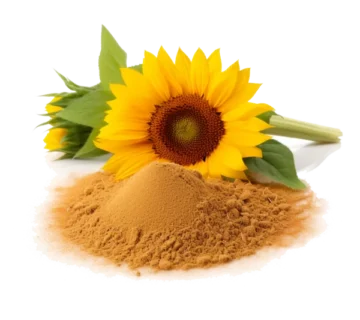 Sunflower Lecithin Bulk Exporter