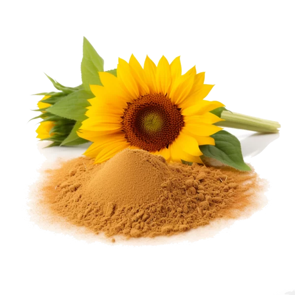 Sunflower Lecithin Bulk Exporter