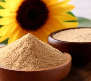 Sunflower Lecithin Wholesale in TÜRKİYE — Natural & Non-GMO