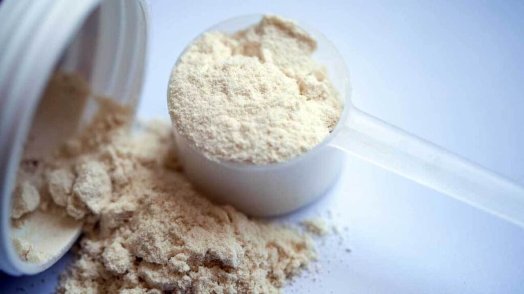 Low Demineralized Whey Powder Bulk