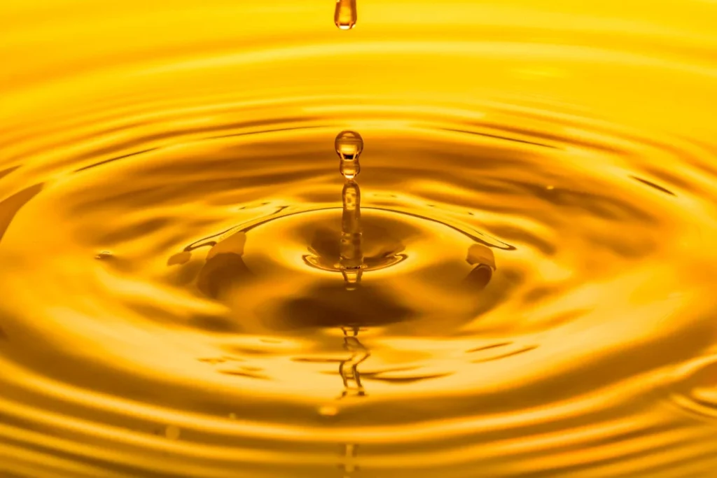 Vegetable fat supplier in Libya