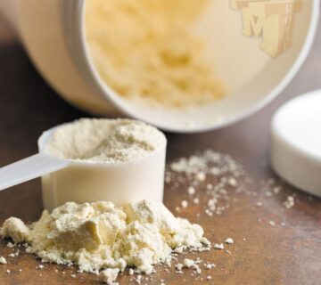 Whey Protein Isolate from TÜRKİYE