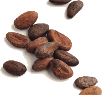 Wholesale Cocoa Powder Egypt