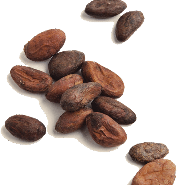 Wholesale Cocoa Powder Egypt