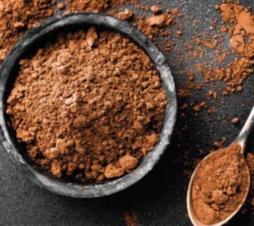 Why Turkish Alkalized Cocoa Powder Is Ideal for Ice Cream Makers