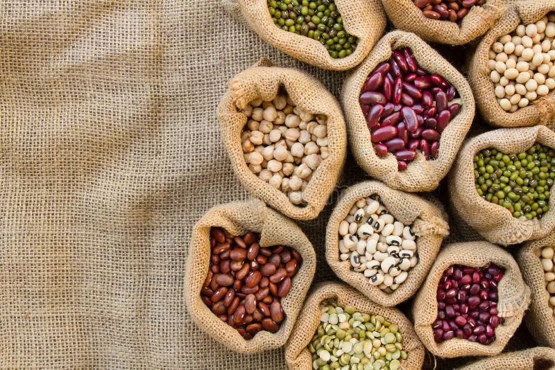 Future of food raw materials trading in TÜRKİYE