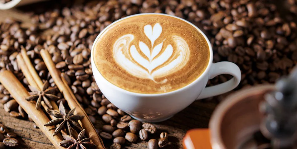 Cappuccino premix suppliers