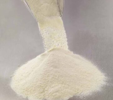 Demineralized Whey Powder for Infant Formula