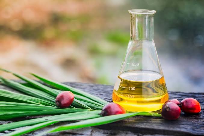 Palm Kernel Oil Fractions from TÜRKİYE for Bakery Applications