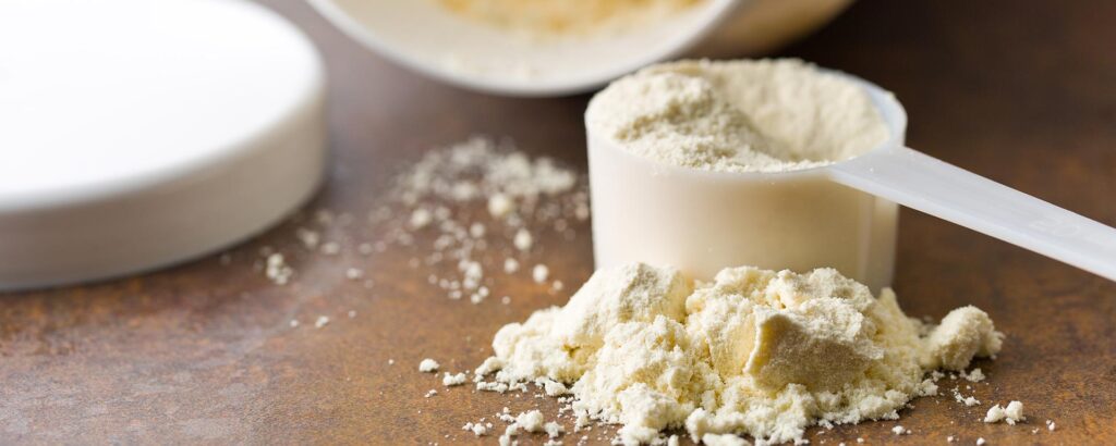 D40 Demineralized Whey for Food Industry
