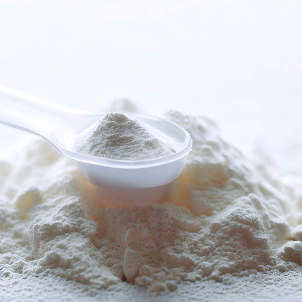 Demineralized Whey Powder D40 Exporter
