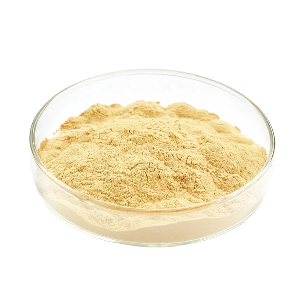 Malt extract suppliers in TÜRKİYE