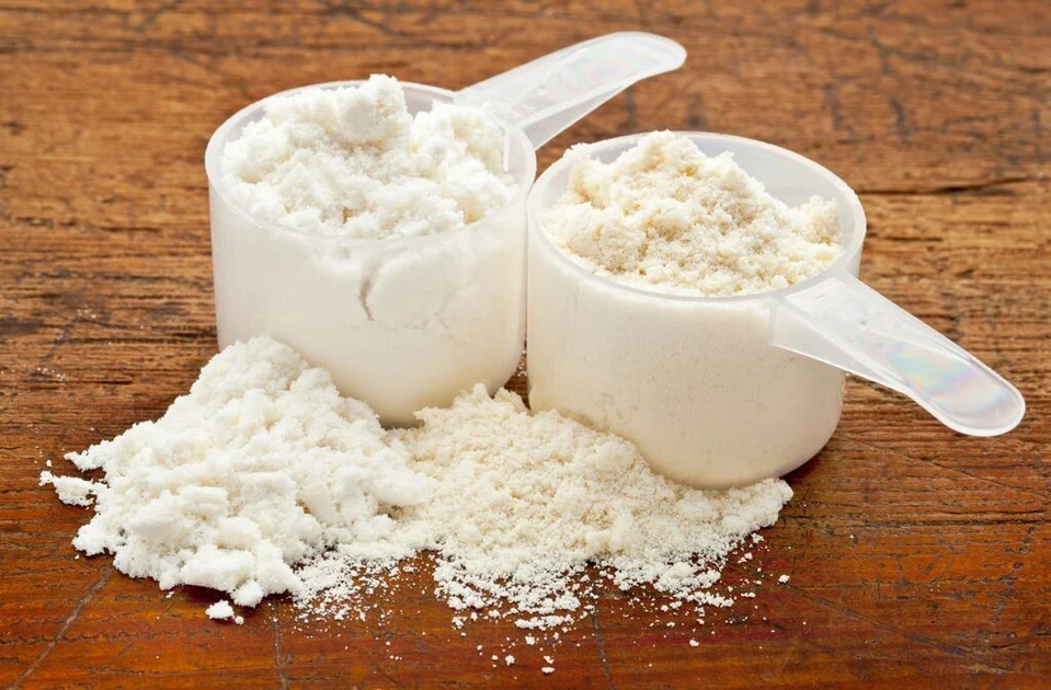 Organic whey protein powder in TÜRKİYE