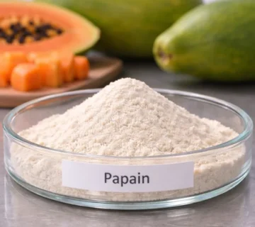 Papain Enzyme from Papaya Supplier