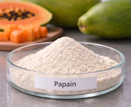 Papain Enzyme from Papaya Supplier