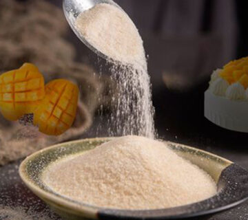 Beef Skin Gelatin Powder Supplier
