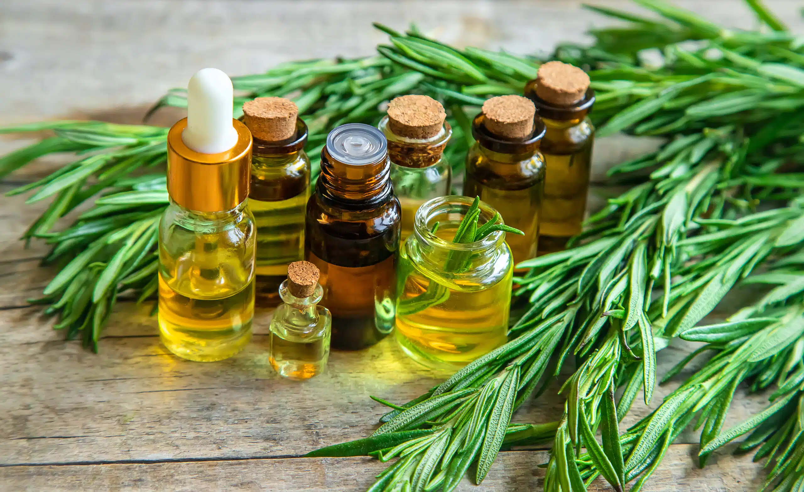 Essential oils for food industry