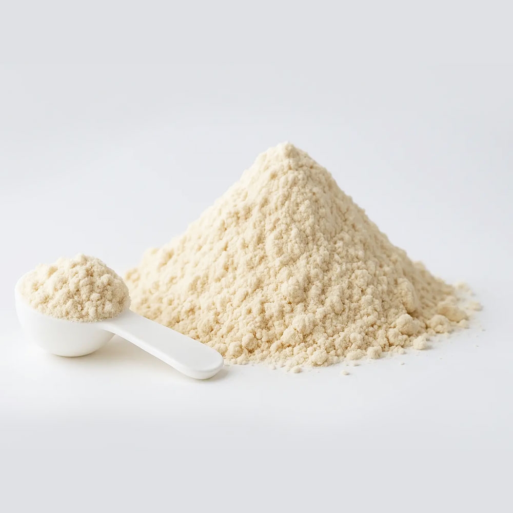 Whey protein concentrate suppliers in TÜRKİYE