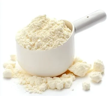 Demineralized Whey Powder D20 Supplier