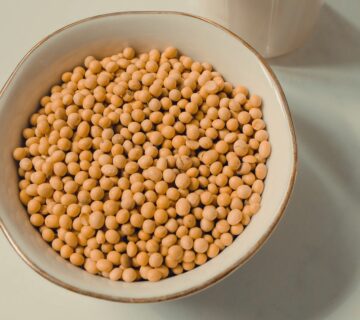 Instant Soluble Lecithin Powder – Essential Emulsifier for Chocolate Production