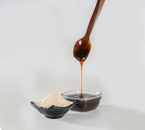 Liquid Sunflower Lecithin – Ideal for Chocolate, Bakery, and Dairy Applications