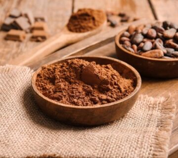 Pastino Cocoa Powder Supplier for Food Industry Manufacturers Pastino Cocoa Powder Supplier for Food Industry Manufacturers