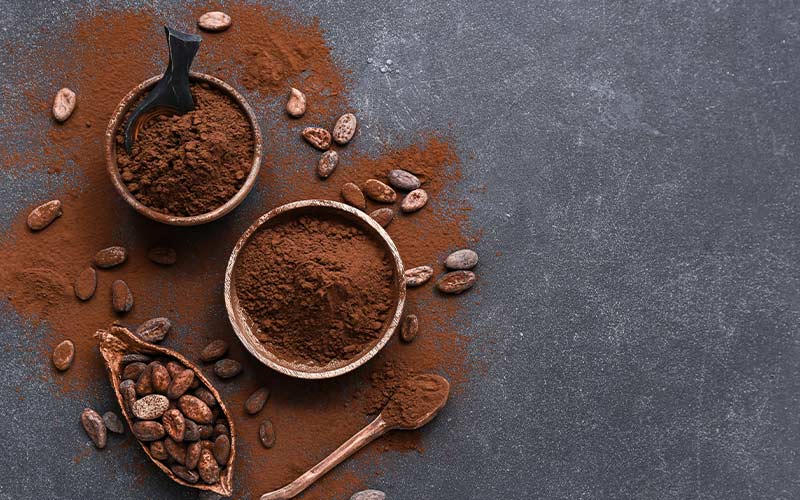 Pastino Cocoa Powder for Bakery and Confectionery Factories