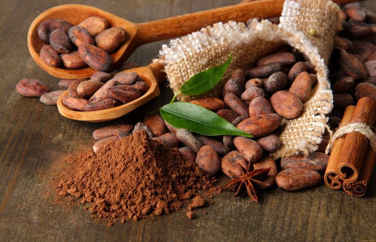 Pastino Cocoa Powder for Export and Bulk Food Production
