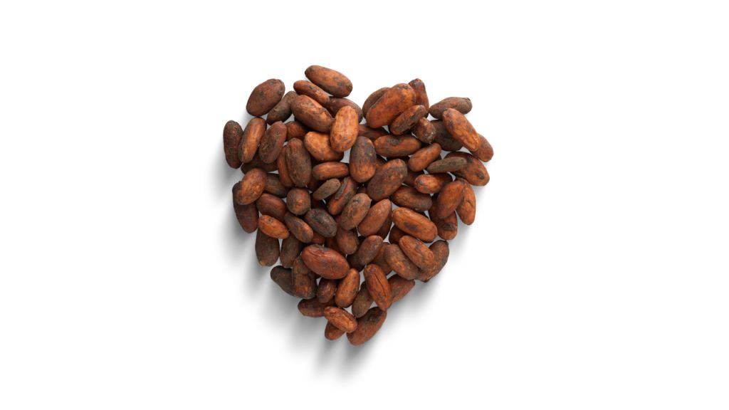 Pastino Cocoa for Industrial Chocolate and Biscuit Plants