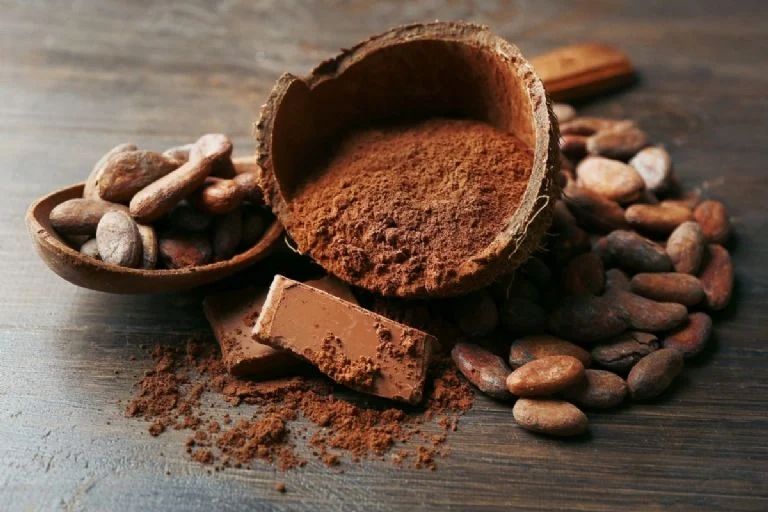 Pastino Cocoa for Industrial Chocolate and Biscuit Plants