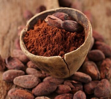 Pastino Natural Cocoa Powder for Clean-Label Food Manufacturing Pastino Natural Cocoa Powder for Clean-Label Food Manufacturing