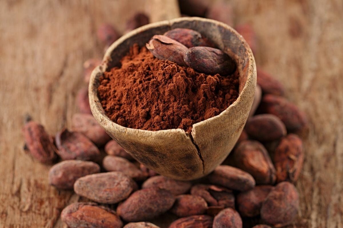 Pastino Natural Cocoa Powder for Clean-Label Food Manufacturing
