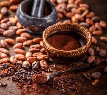 Pastino Reddish Cocoa Powder for Premium Bakery Use Pastino Reddish Cocoa Powder for Premium Bakery Use