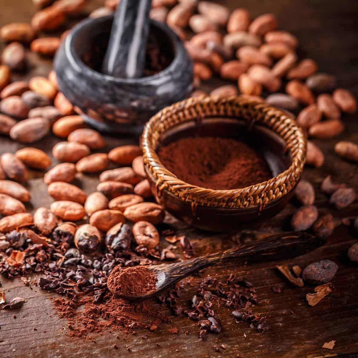 Pastino Reddish Cocoa Powder for Premium Bakery Use