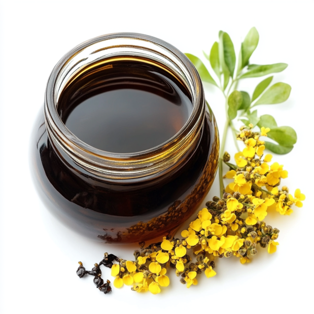 Rapeseed Lecithin – Functional Ingredient for Industrial Applications