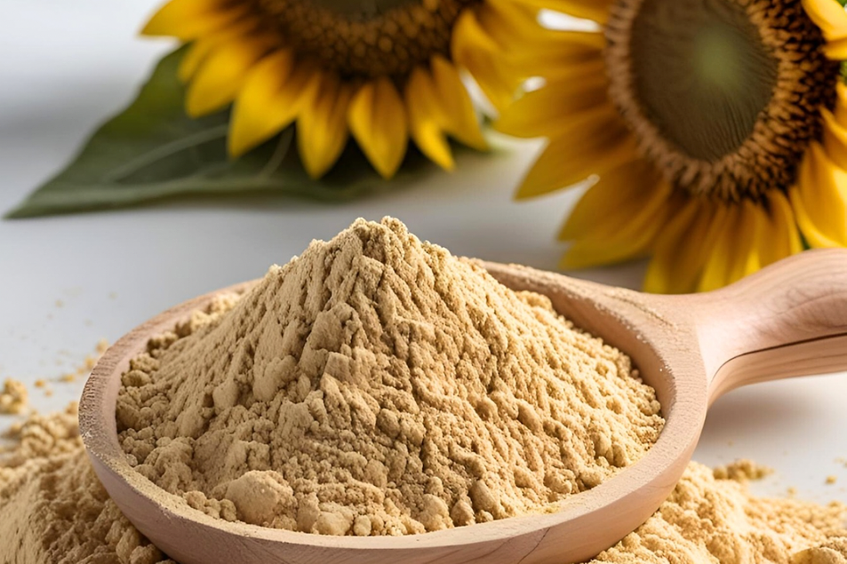Sunflower Lecithin Powder – Non-GMO Ingredient from TÜRKİYE Supplier