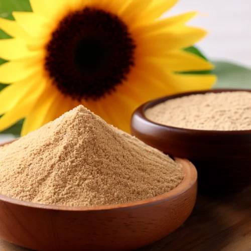 Sunflower Lecithin Powder – Non-GMO Ingredient from TÜRKİYE Supplier