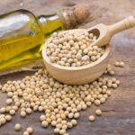 Sunflower Lecithin – Natural Non-Allergen Emulsifier for Clean-Label Foods