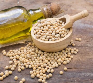 Sunflower Lecithin – Natural Non-Allergen Emulsifier for Clean-Label Foods